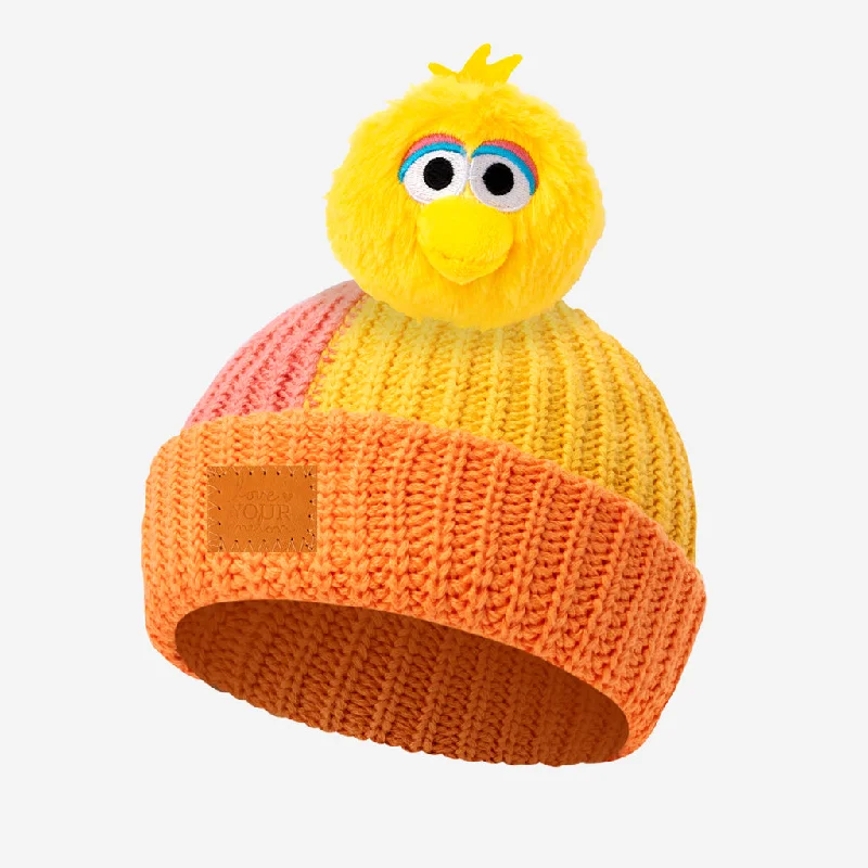 Toddler Big Bird Pom Beanie